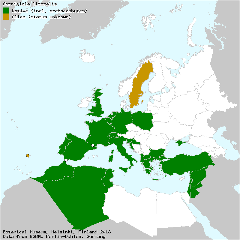 http://euromed.luomus.fi/euromed_map.php?taxon=298195&amp;size=medium