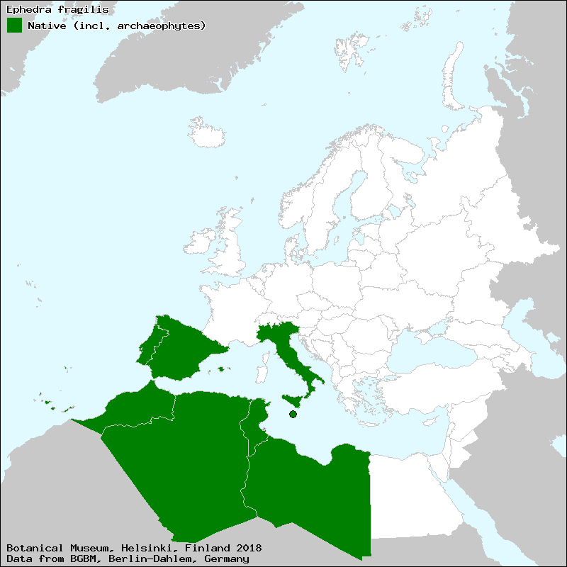 euromed_map.php